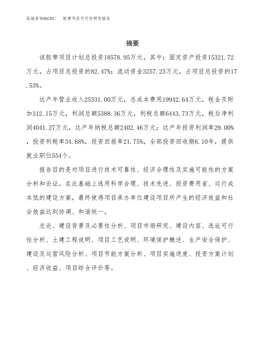 胶带项目可行性研究报告标准模板.docx_第2页