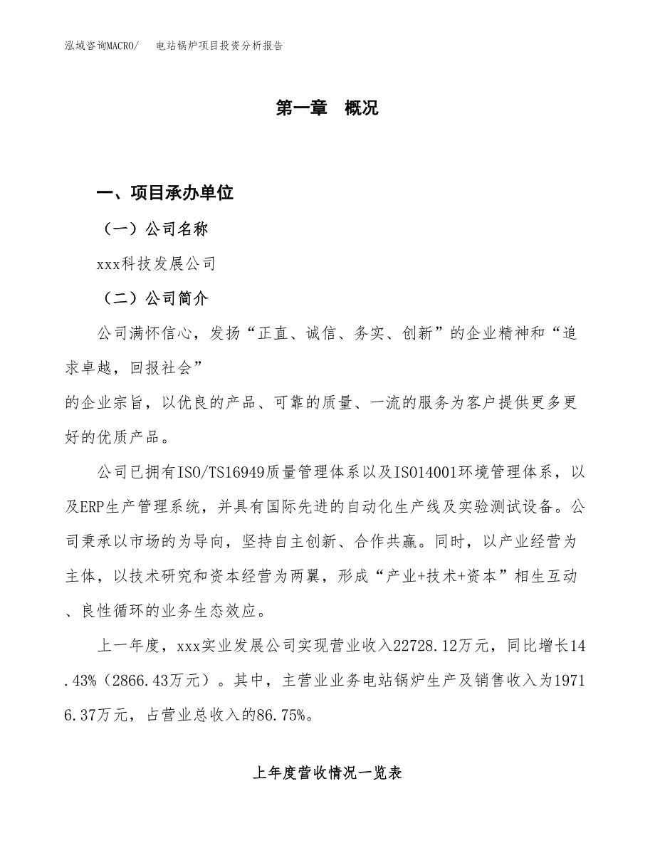 电站锅炉项目投资分析报告（投融资报告）.docx_第1页