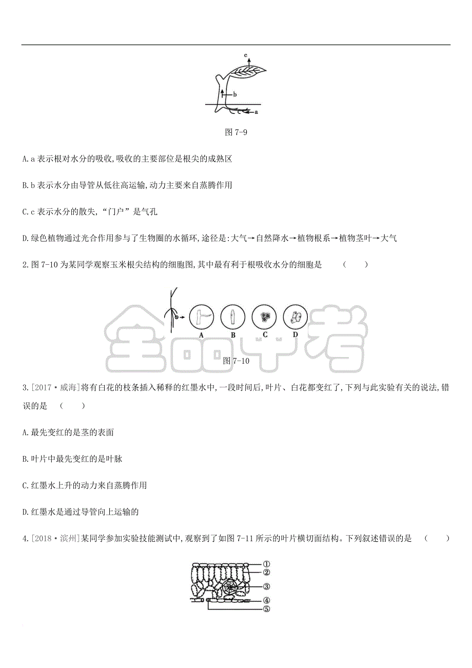 内蒙古包头市2019年中考生物第三单元 生物圈中的绿色植物 第07课时 绿色植物与生物圈的水循环复习练习_第4页