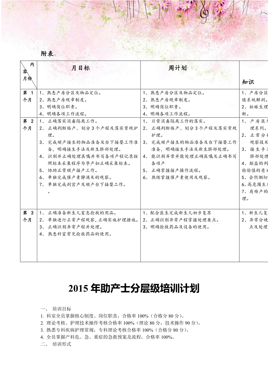 助产士岗位培训规划5_第2页