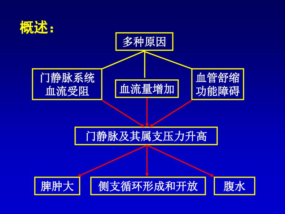 门静脉高压症2013_第2页