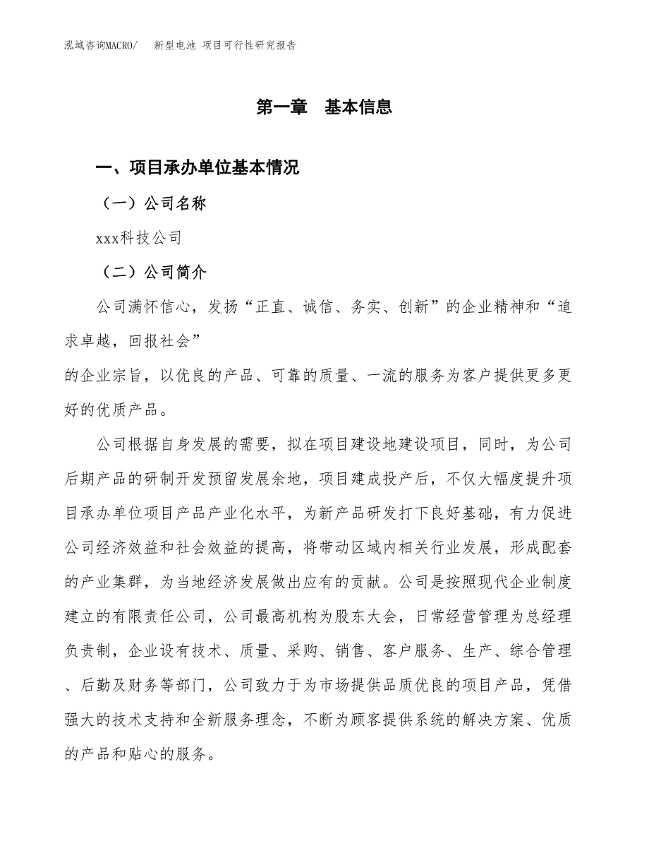 新型电池 项目可行性研究报告（总投资12000万元）（58亩）_第3页