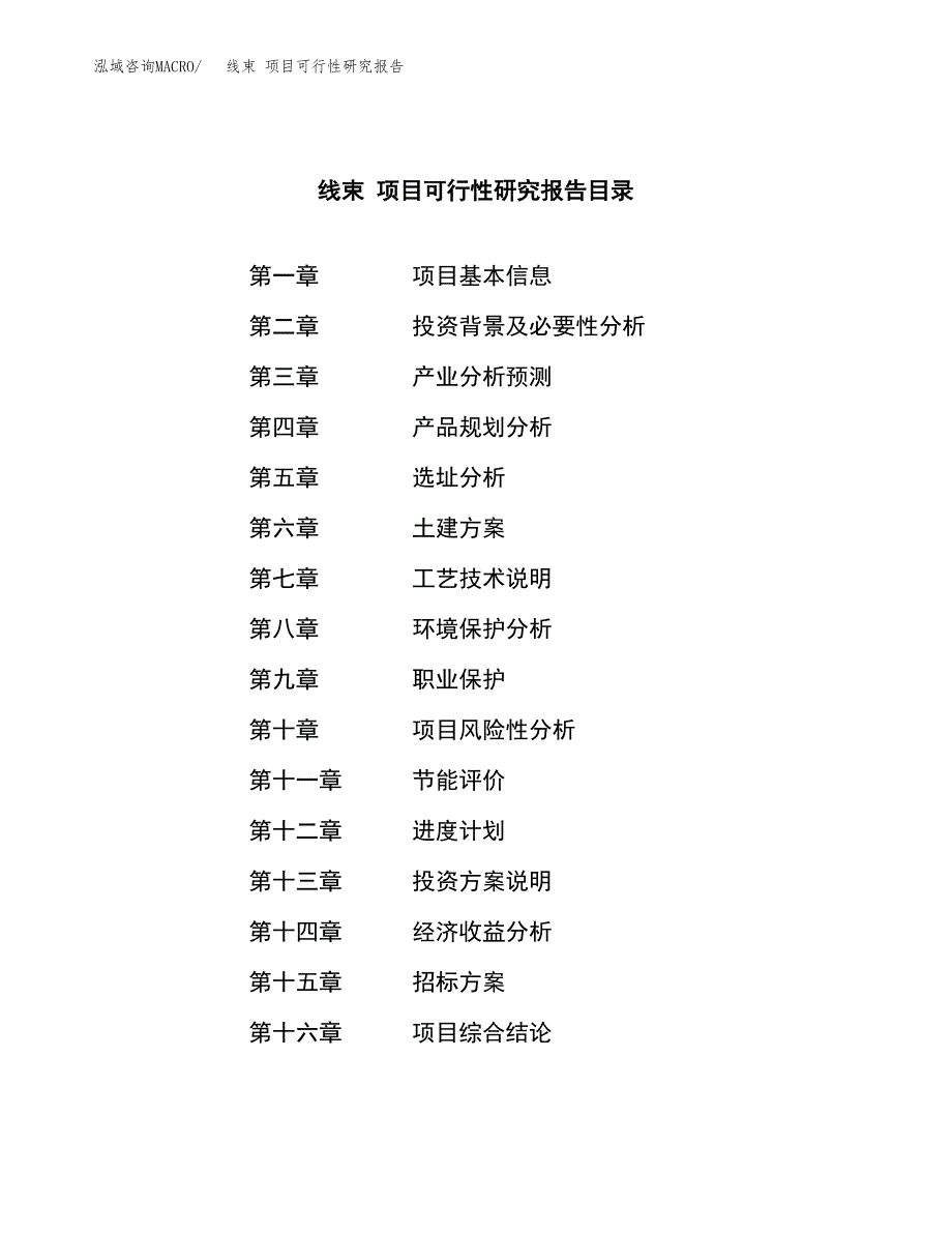 线束 项目可行性研究报告（总投资13000万元）（62亩）_第2页