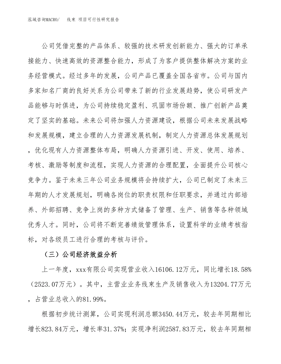 线束 项目可行性研究报告（总投资13000万元）（62亩）_第4页