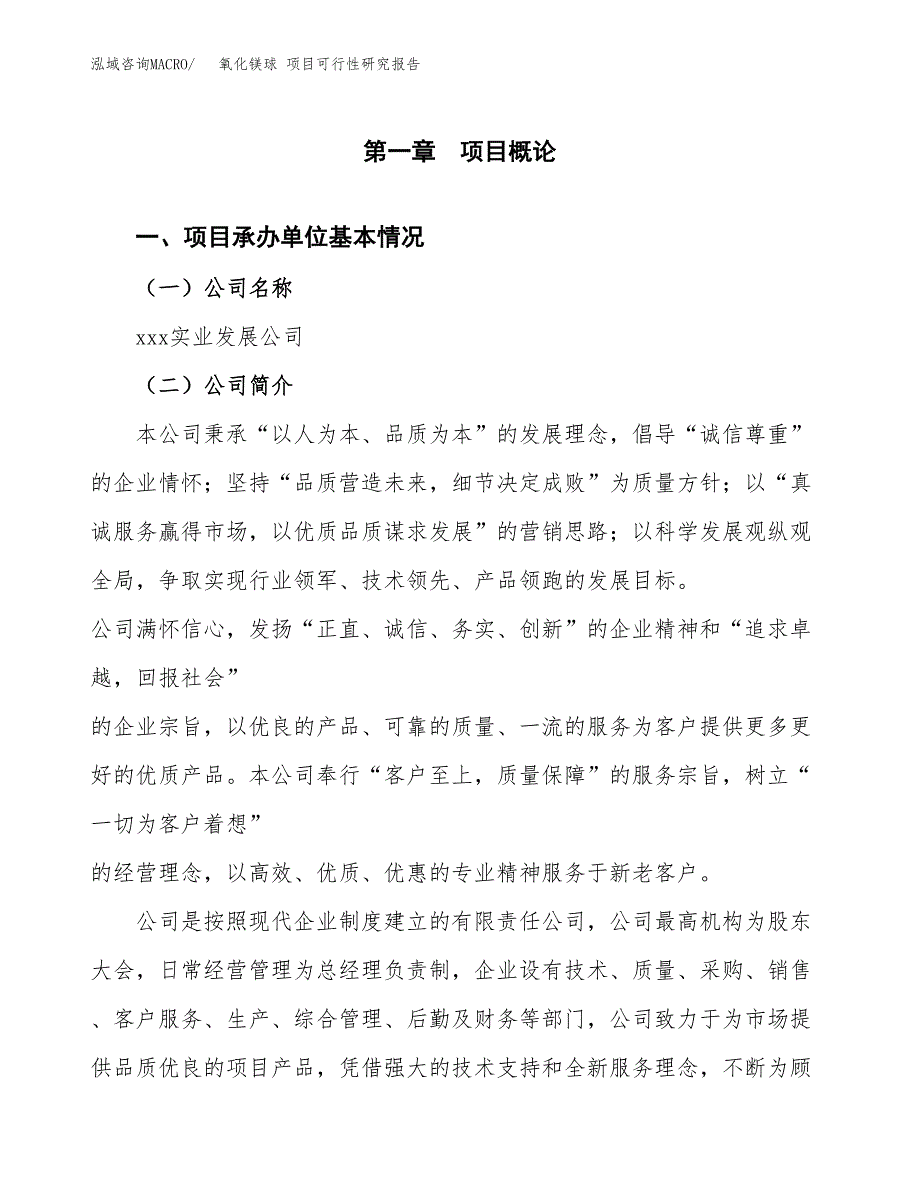 氧化镁球 项目可行性研究报告（总投资10000万元）（40亩）_第3页