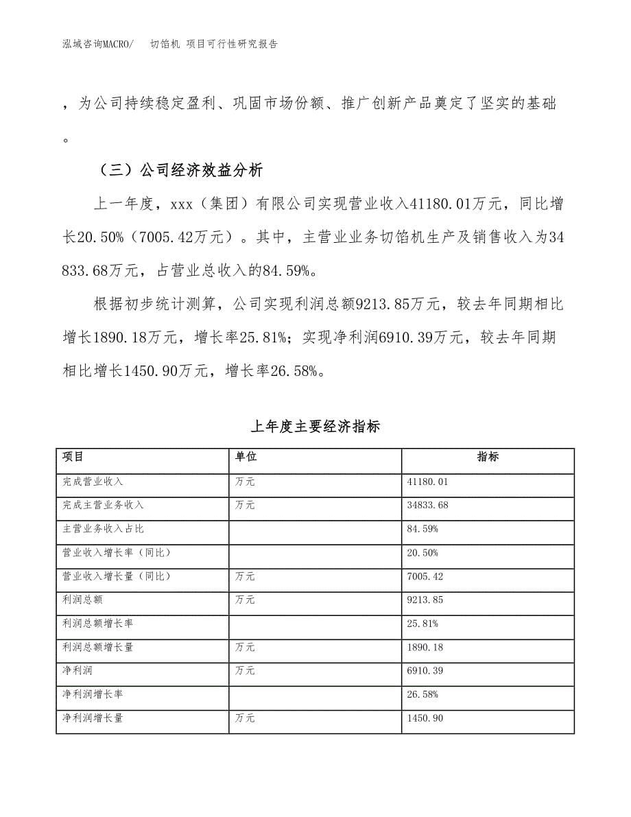 切馅机 项目可行性研究报告（总投资22000万元）（85亩）_第5页