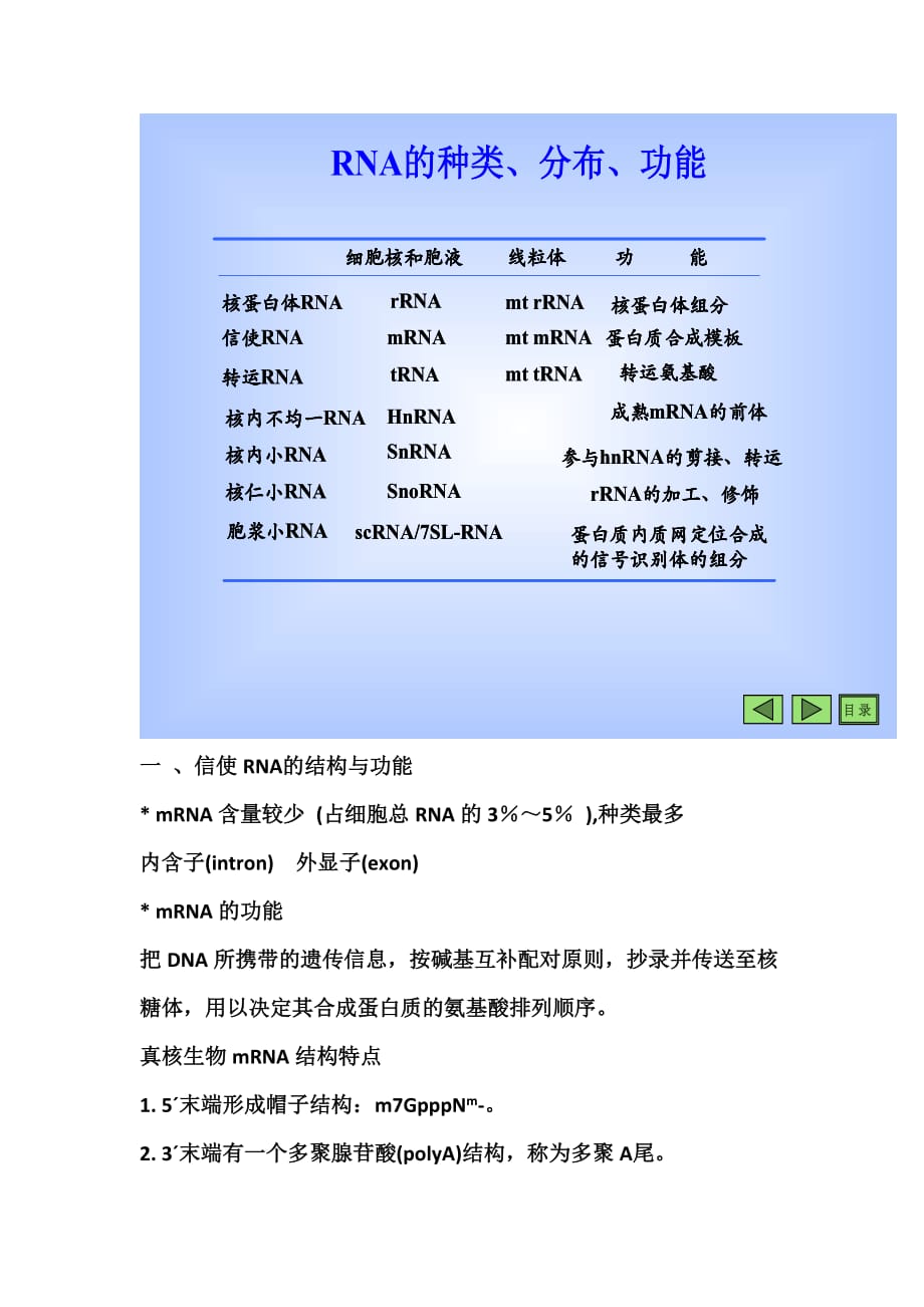 生物与化学复习资料第三章核酸的结构与功能(广东医学院)_第4页