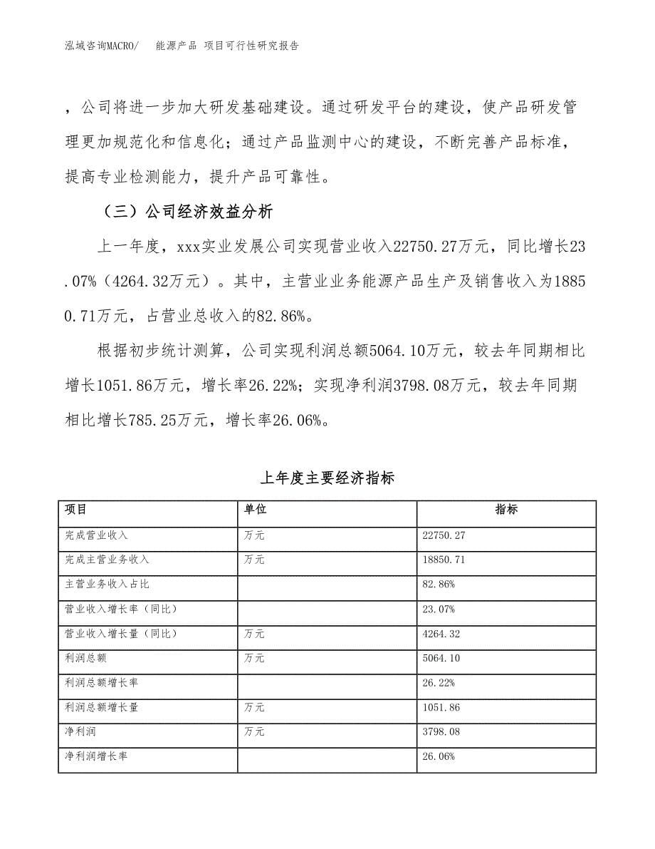 能源产品 项目可行性研究报告（总投资16000万元）（60亩）_第5页