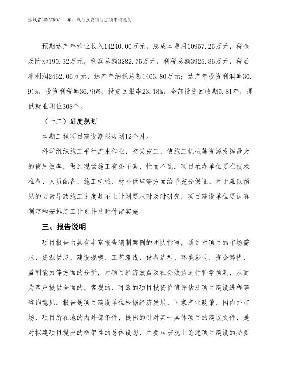 车用汽油投资项目立项申请说明.docx_第5页