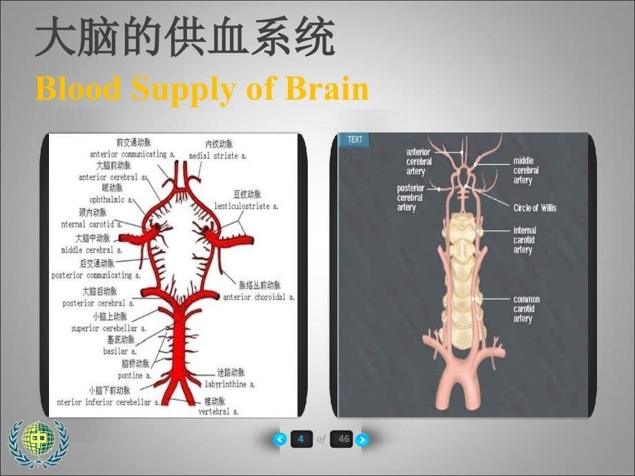 石院士讲稿“通关利窍”针刺法治疗脑干梗死吞咽障碍的临床研究_第5页