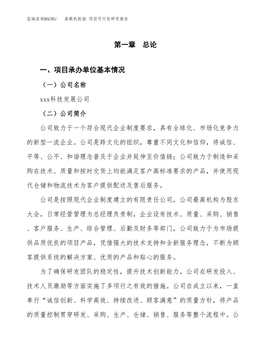 装载机轮胎 项目可行性研究报告（总投资10000万元）（38亩）_第3页