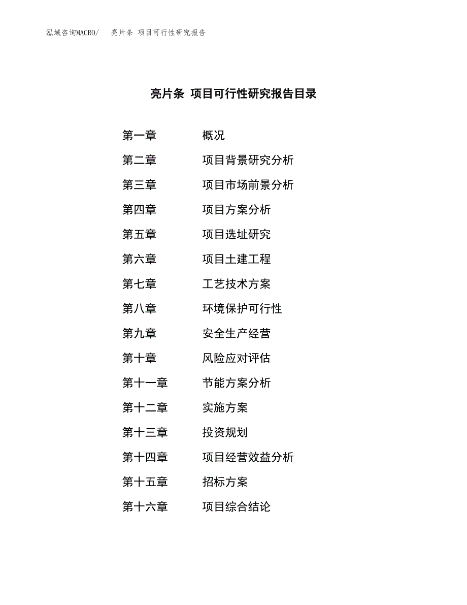 亮片条 项目可行性研究报告（总投资8000万元）（41亩）_第2页