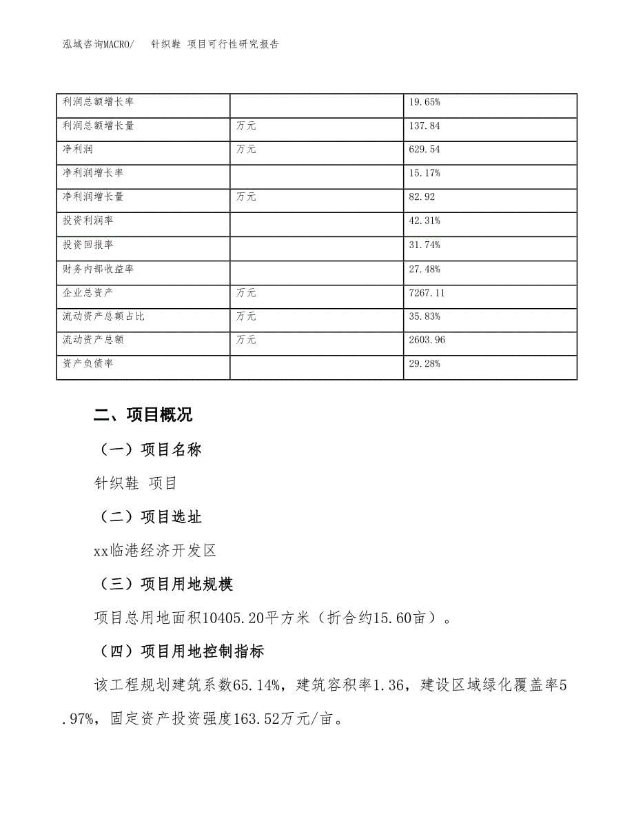 针织鞋 项目可行性研究报告（总投资3000万元）（16亩）_第5页