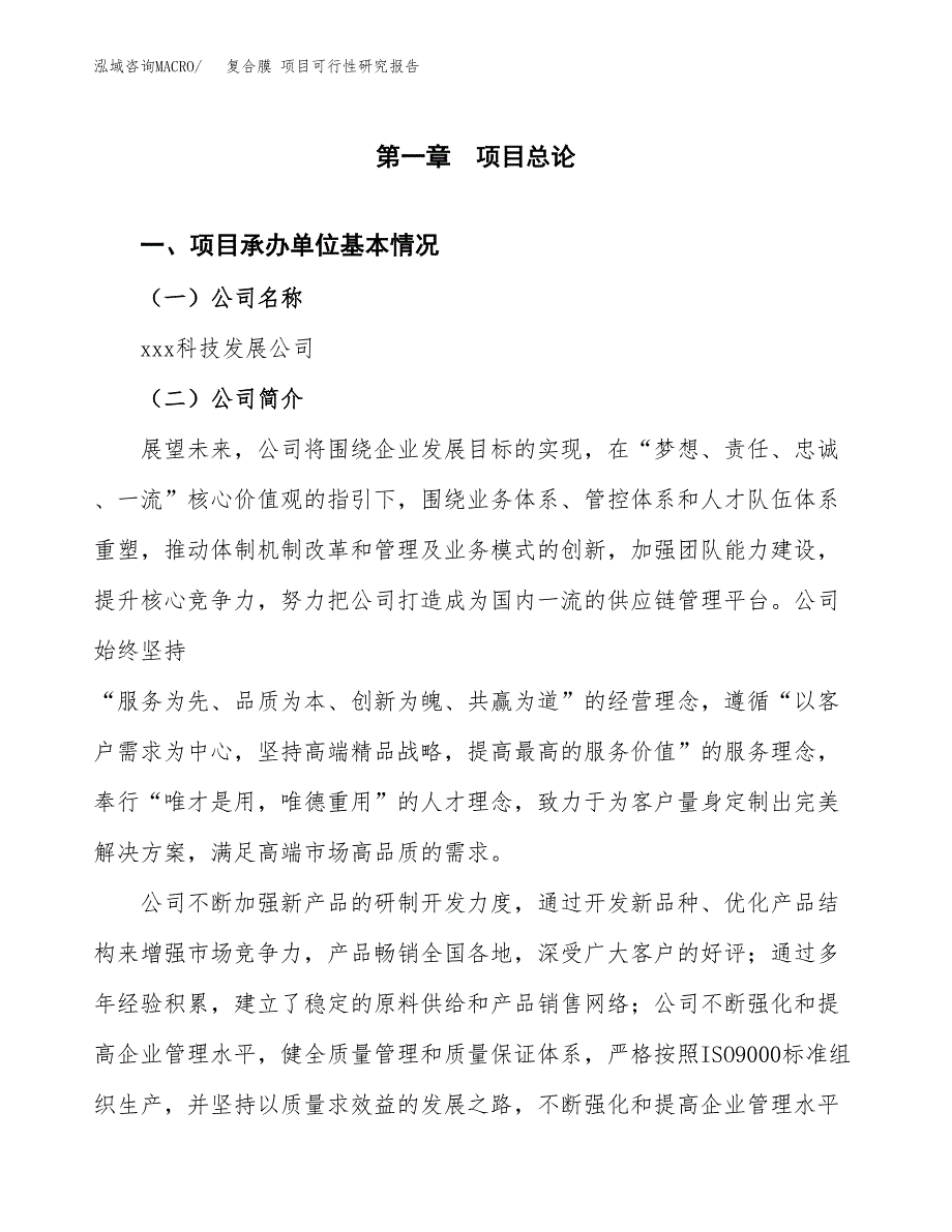 复合膜 项目可行性研究报告（总投资7000万元）（27亩）_第3页