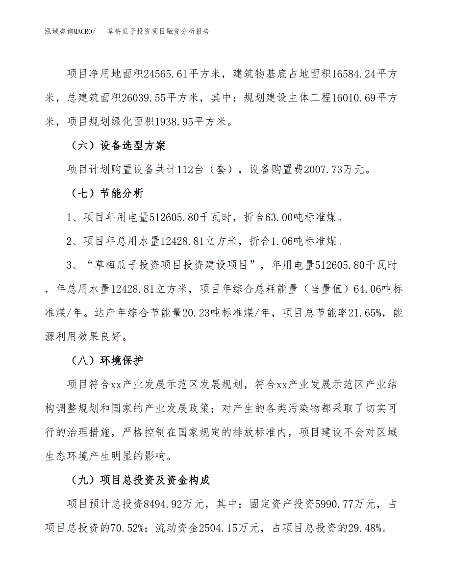 草梅瓜子投资项目融资分析报告.docx_第2页