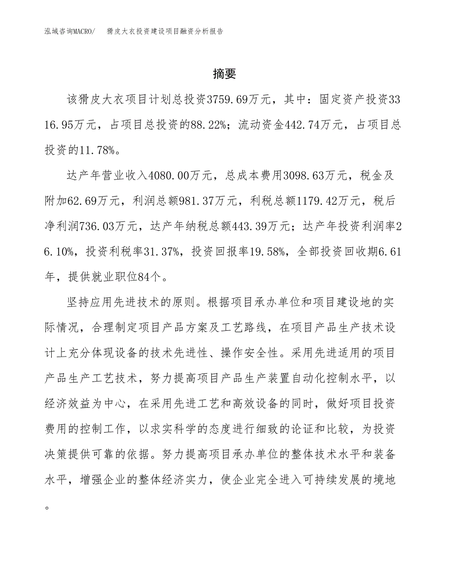 猾皮大衣投资建设项目融资分析报告.docx_第2页