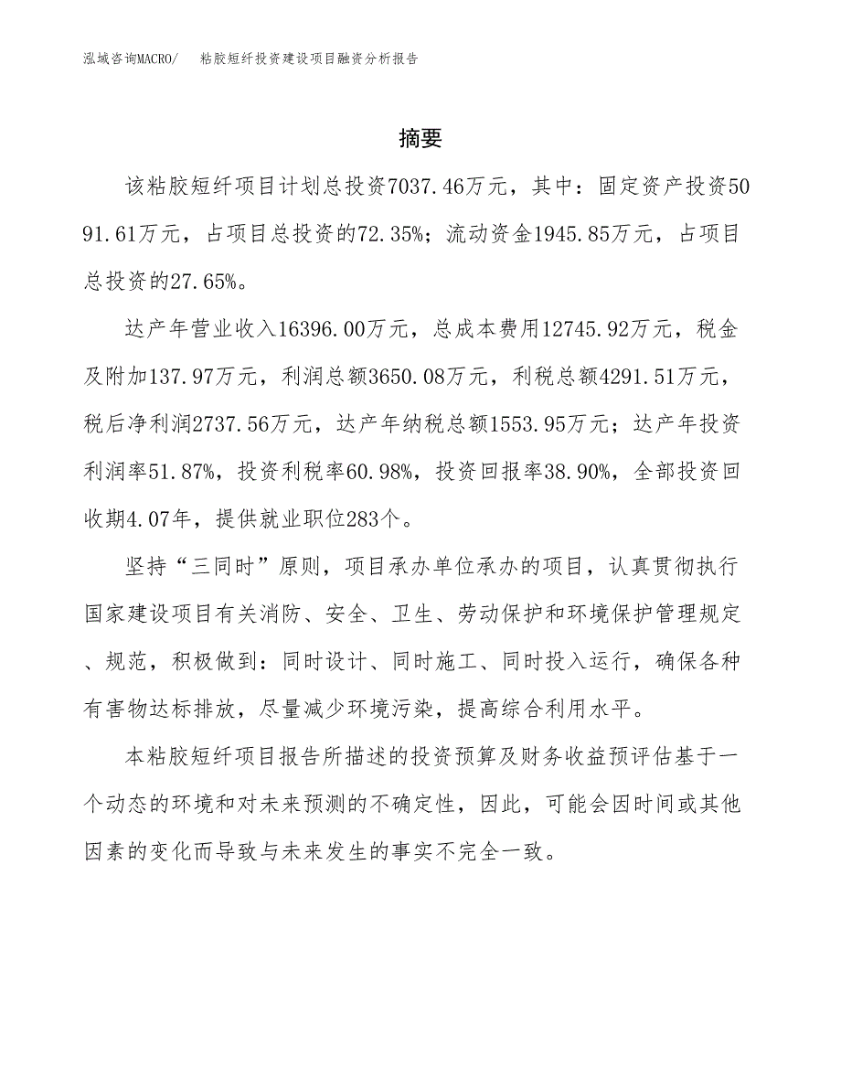 粘胶短纤投资建设项目融资分析报告.docx_第2页