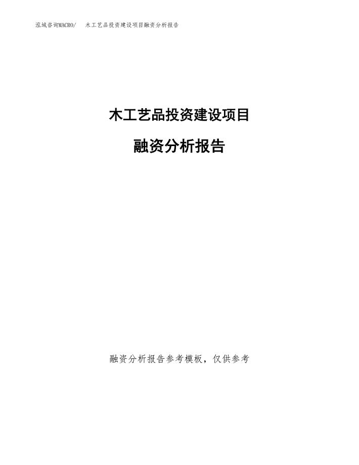 木工艺品投资建设项目融资分析报告.docx