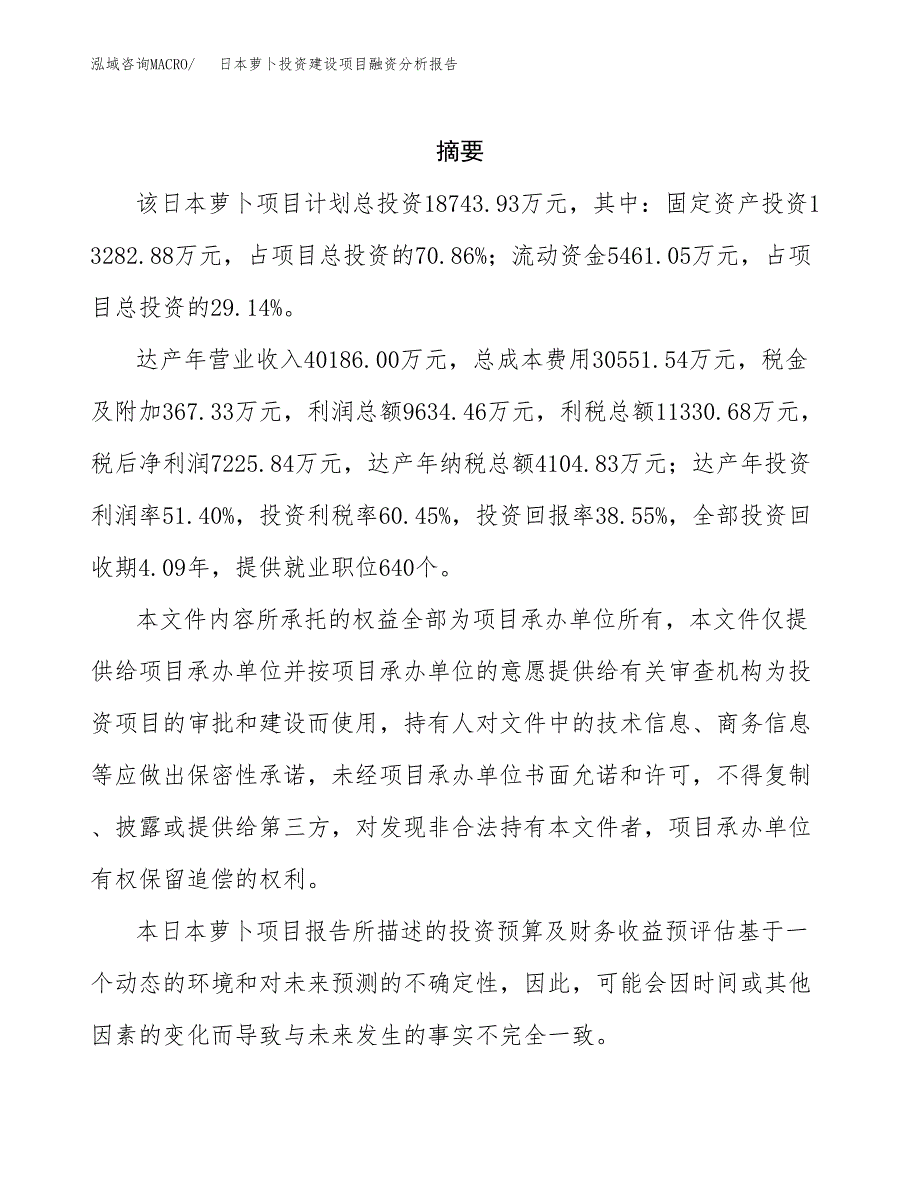 日本萝卜投资建设项目融资分析报告.docx_第2页