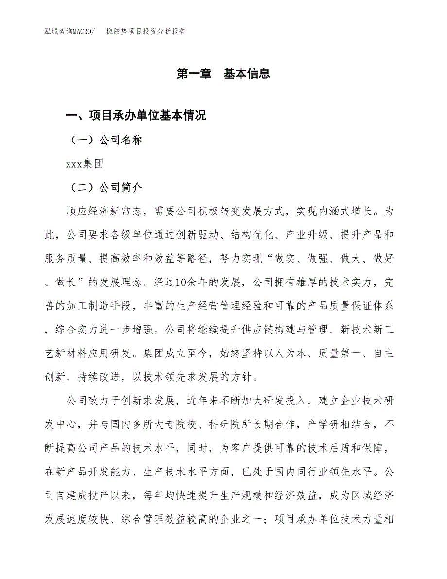 橡胶垫项目投资分析报告（总投资12000万元）（52亩）_第2页