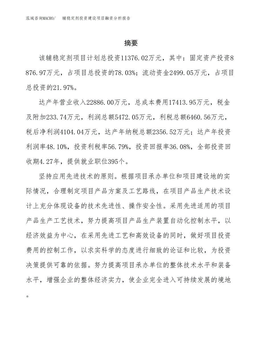 辅稳定剂投资建设项目融资分析报告.docx_第2页