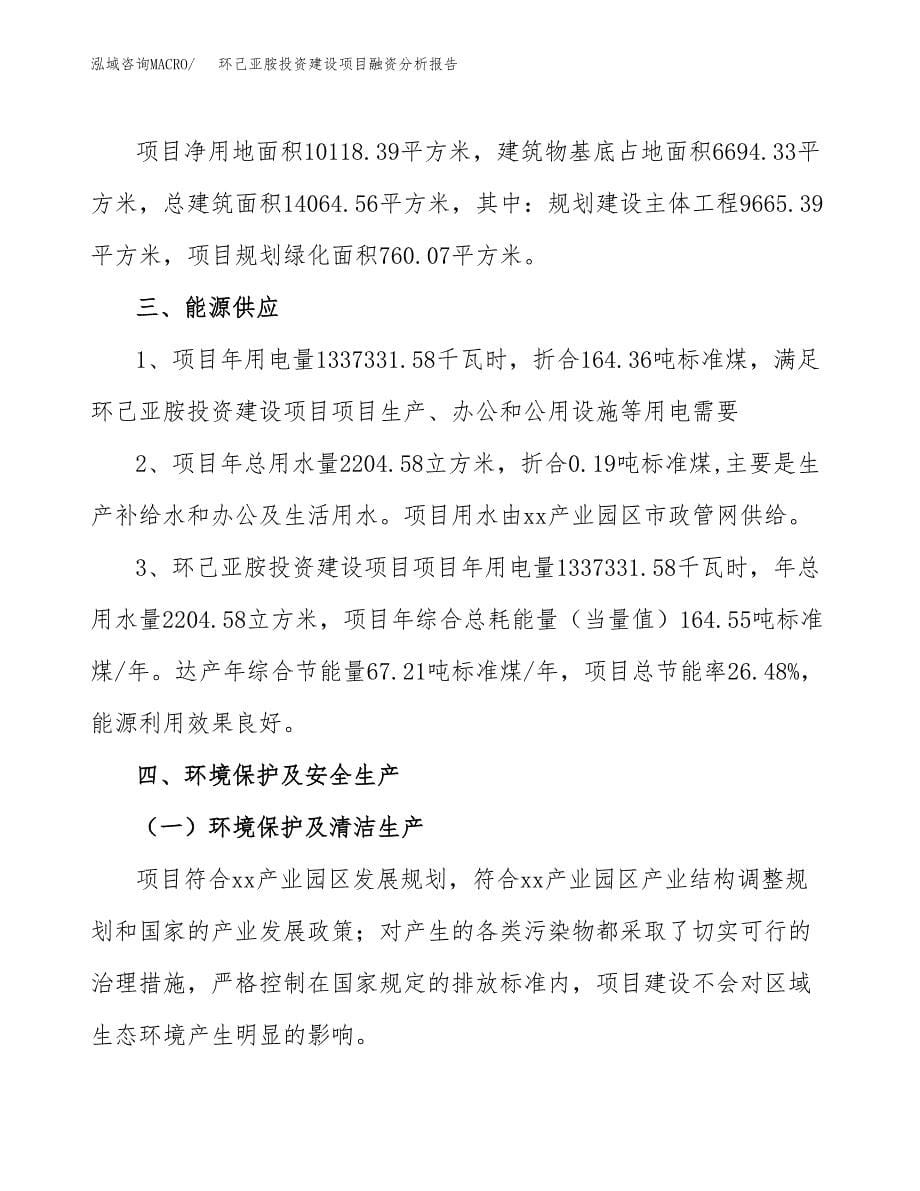 环己亚胺投资建设项目融资分析报告.docx_第5页