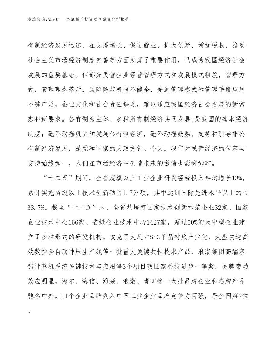 环氧腻子投资项目融资分析报告.docx_第5页