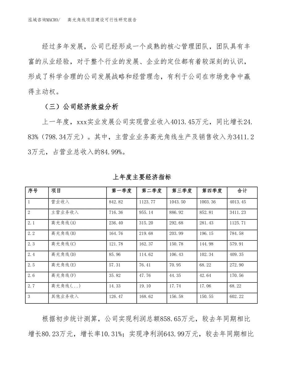 高光角线项目建设可行性研究报告.docx_第5页