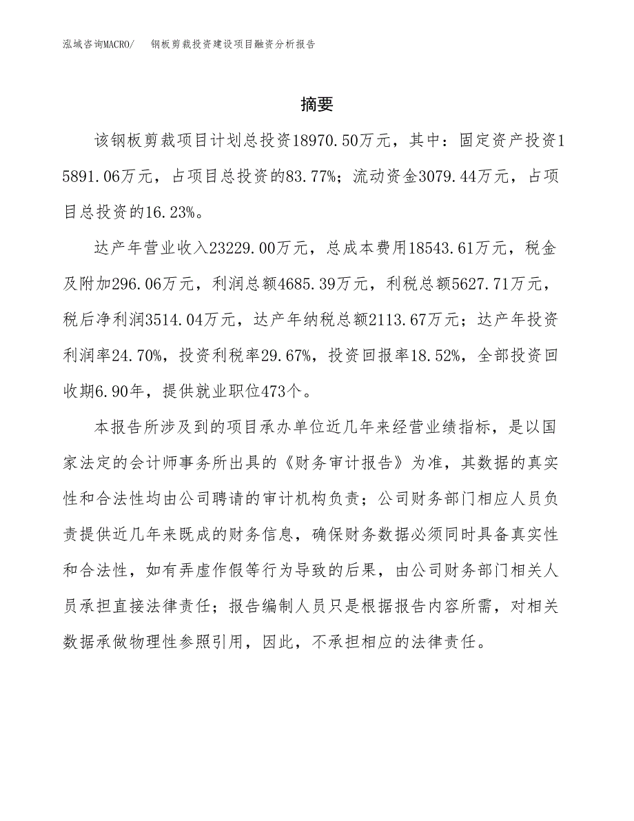 钢板剪裁投资建设项目融资分析报告.docx_第2页