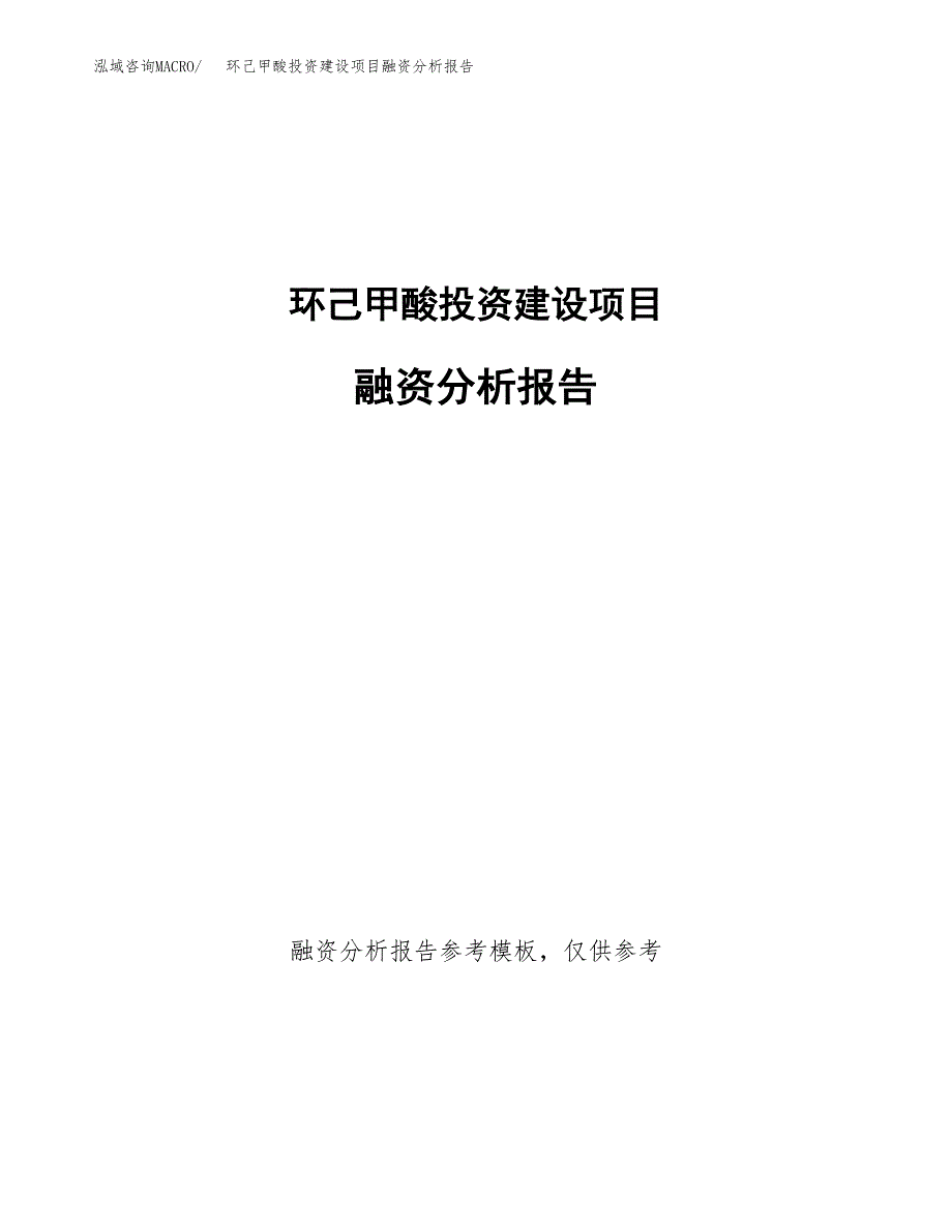 环己甲酸投资建设项目融资分析报告.docx_第1页