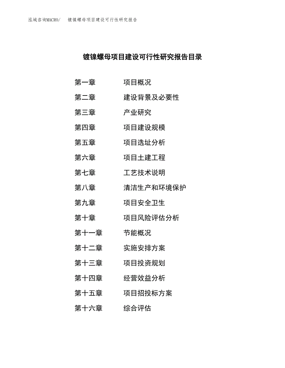 镀镍螺母项目建设可行性研究报告.docx_第3页