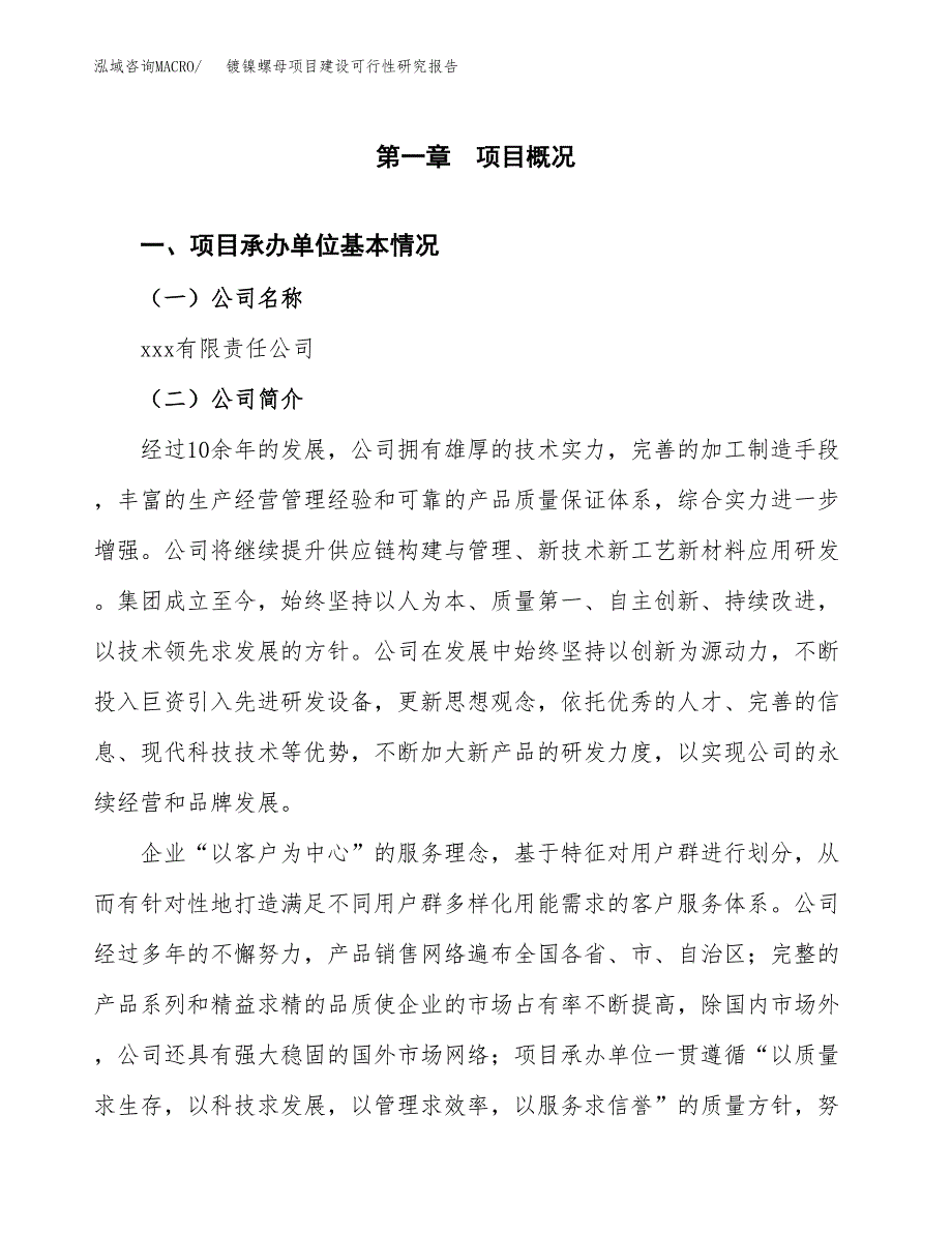 镀镍螺母项目建设可行性研究报告.docx_第4页