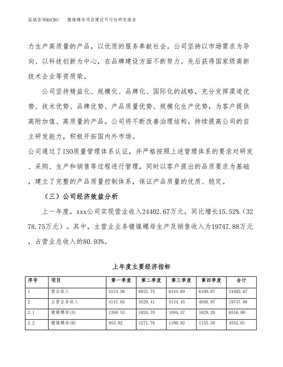 镀镍螺母项目建设可行性研究报告.docx_第5页