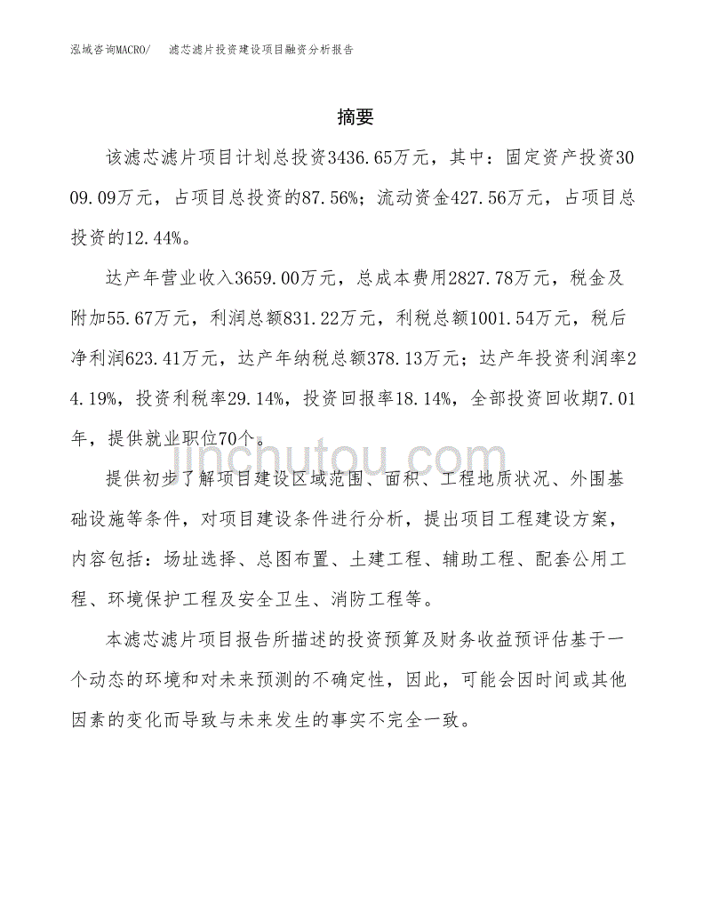 滤芯滤片投资建设项目融资分析报告.docx_第2页