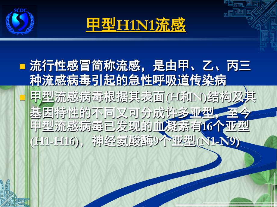 甲型HN流感防治上海市疾病预防控制中心_第2页