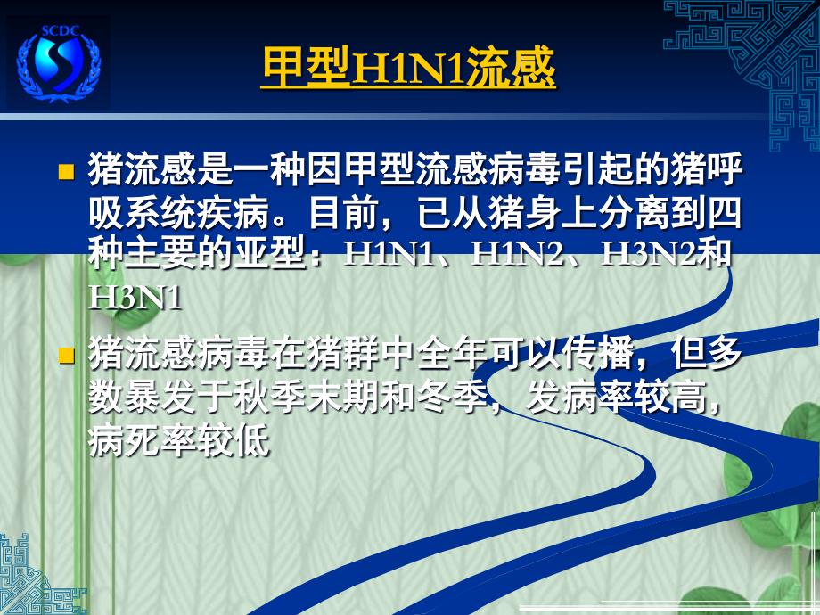 甲型HN流感防治上海市疾病预防控制中心_第3页