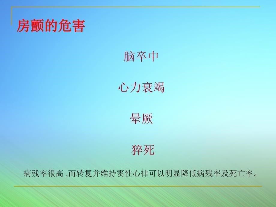 伊布利特转复心房颤动及心房扑动临床有效应用_第5页