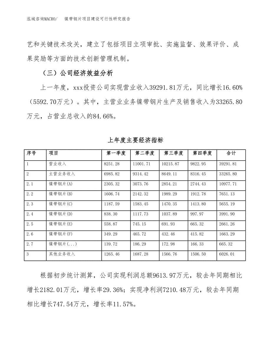 镍带钢片项目建设可行性研究报告.docx_第5页