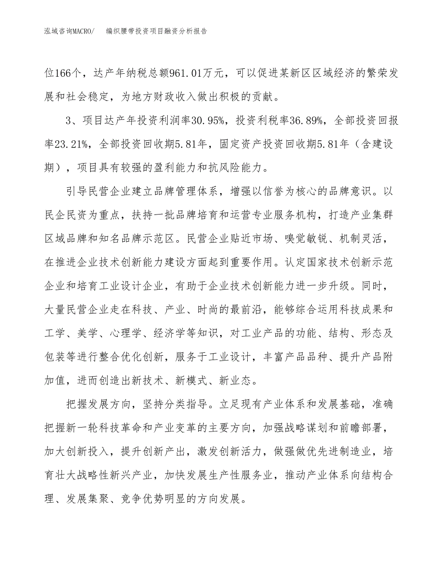 编织腰带投资项目融资分析报告.docx_第4页