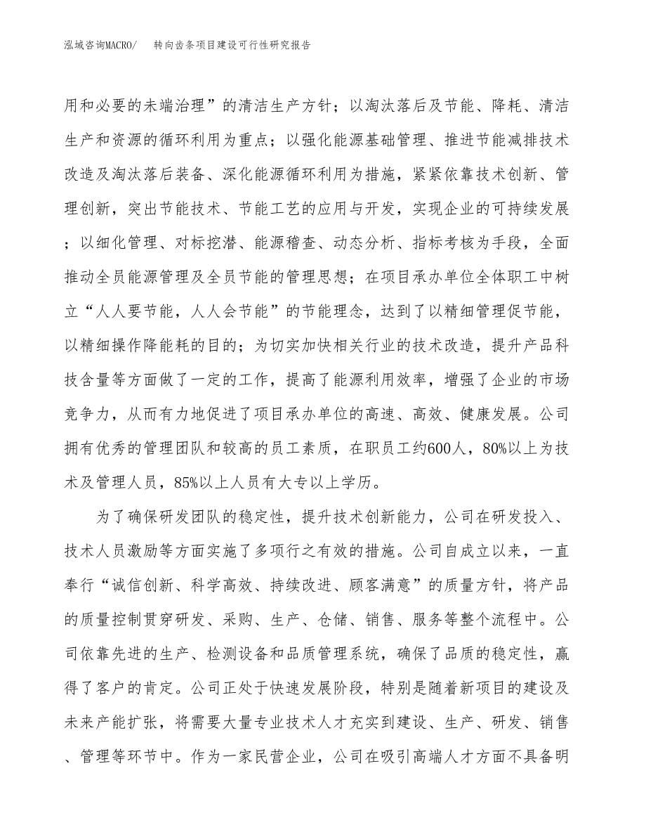 转向齿条项目建设可行性研究报告.docx_第5页