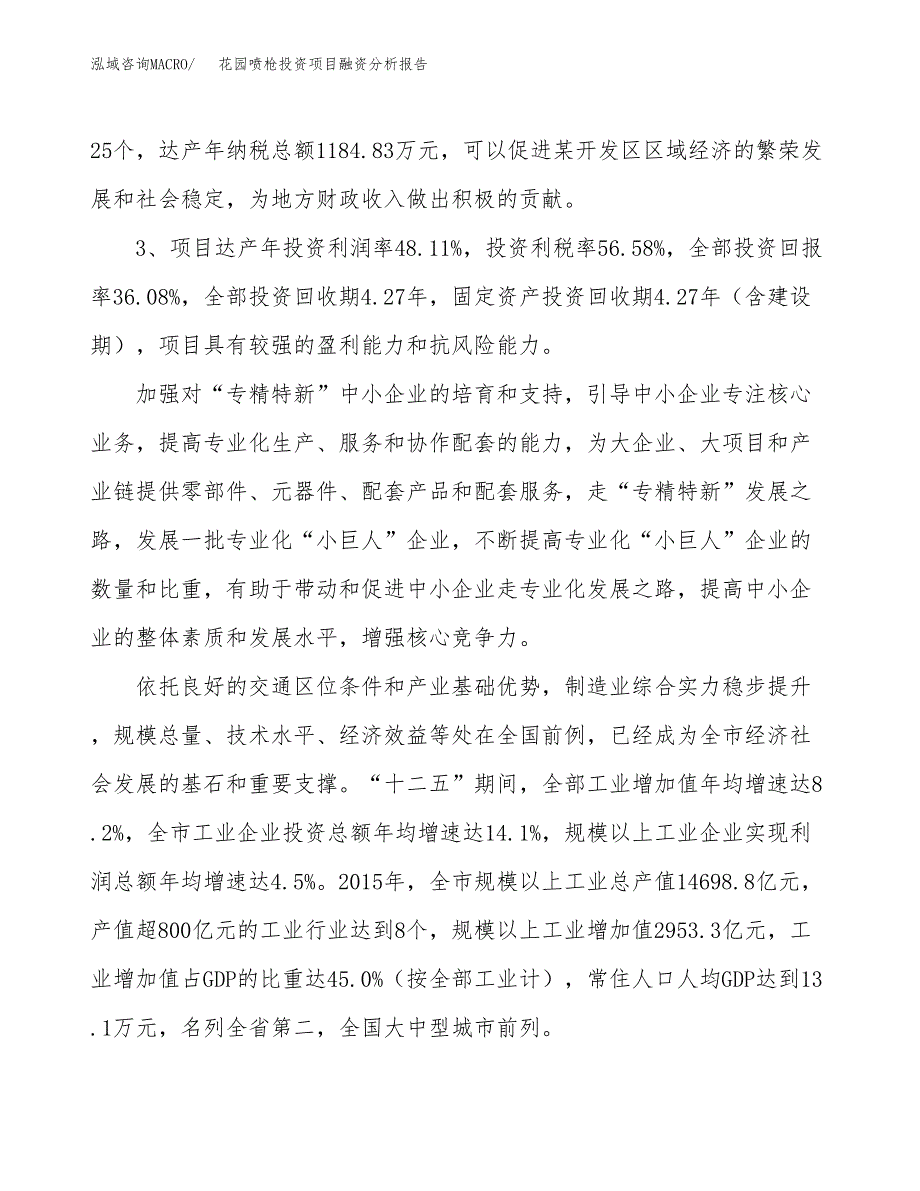 花园喷枪投资项目融资分析报告.docx_第4页