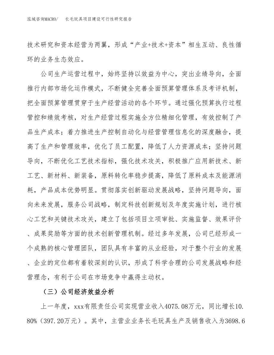 长毛玩具项目建设可行性研究报告.docx_第5页