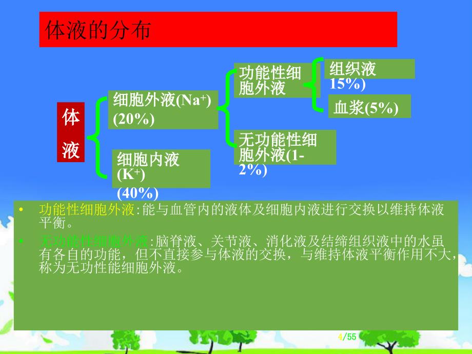 医学优质课件精选——《水电解质及酸碱平衡》_第4页