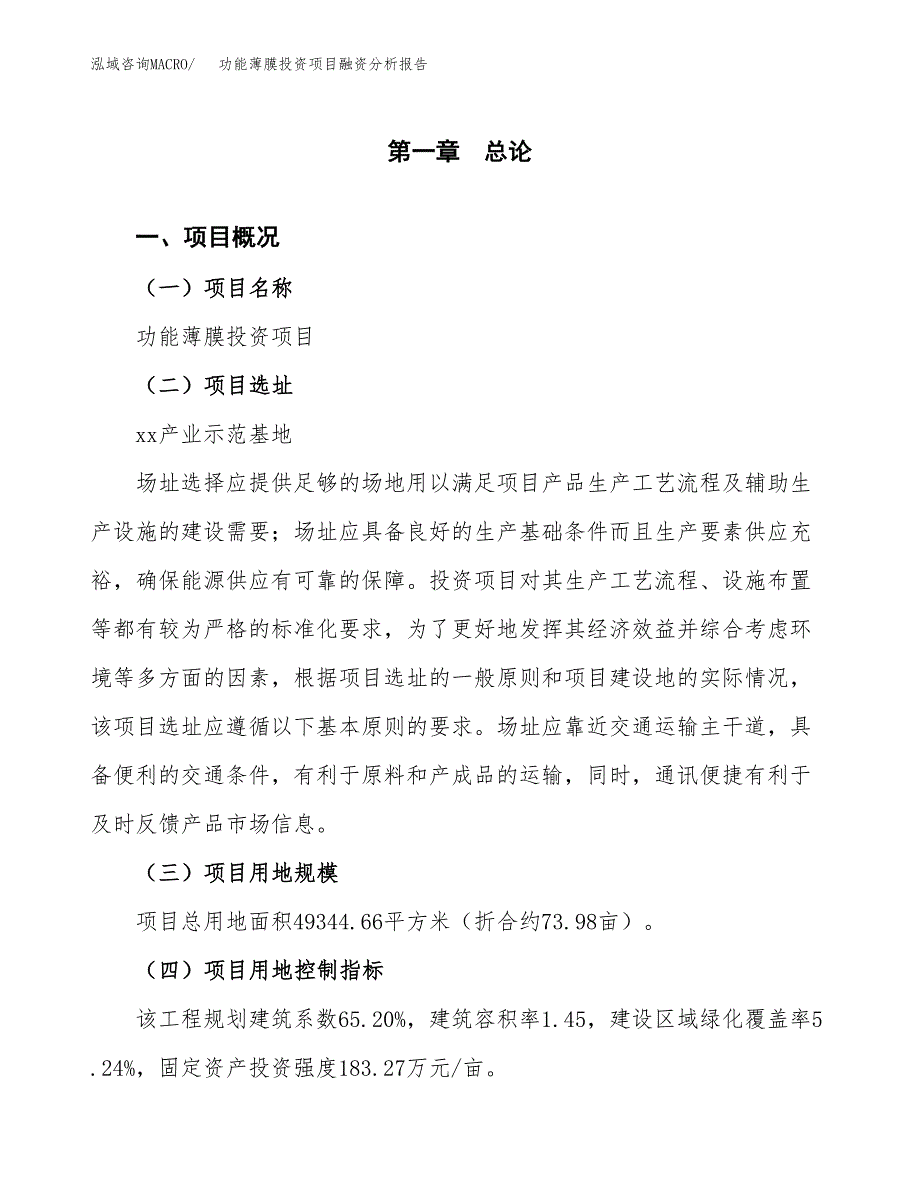 功能薄膜投资项目融资分析报告.doc_第1页