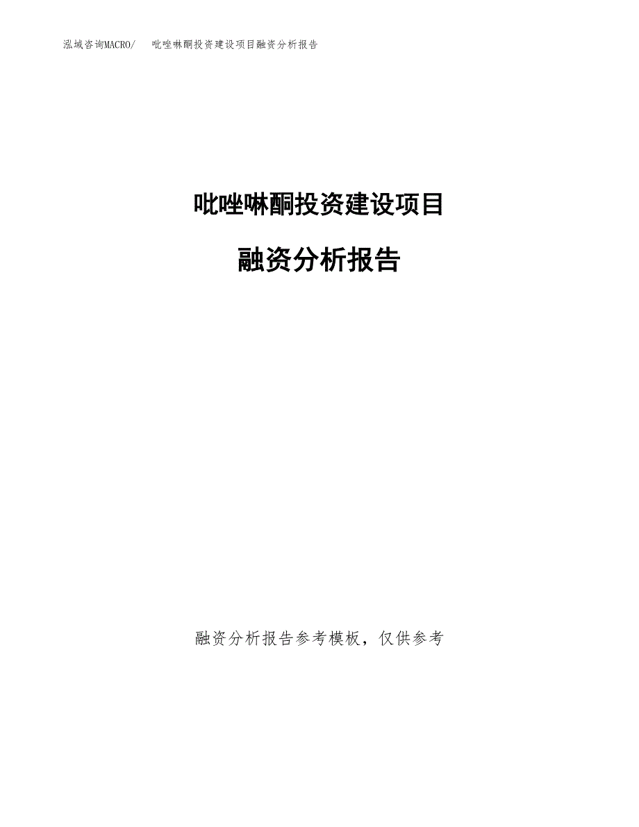 吡唑啉酮投资建设项目融资分析报告.docx_第1页