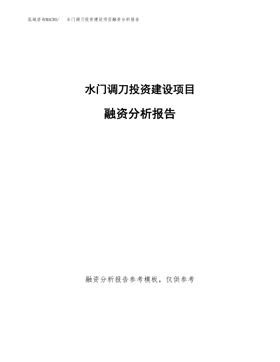 水门调刀投资建设项目融资分析报告.docx_第1页