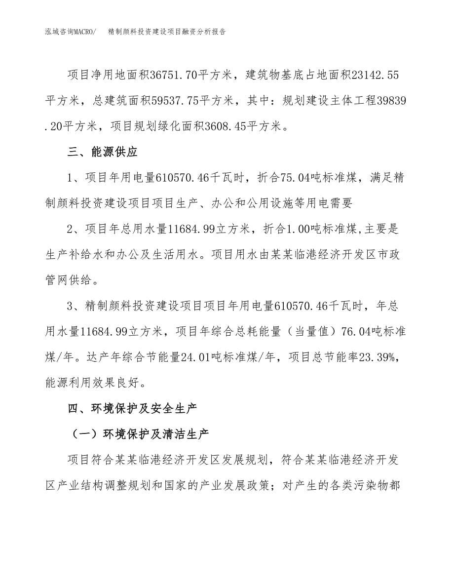 精制颜料投资建设项目融资分析报告.docx_第5页