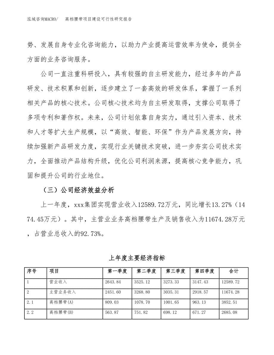 高档腰带项目建设可行性研究报告.docx_第5页