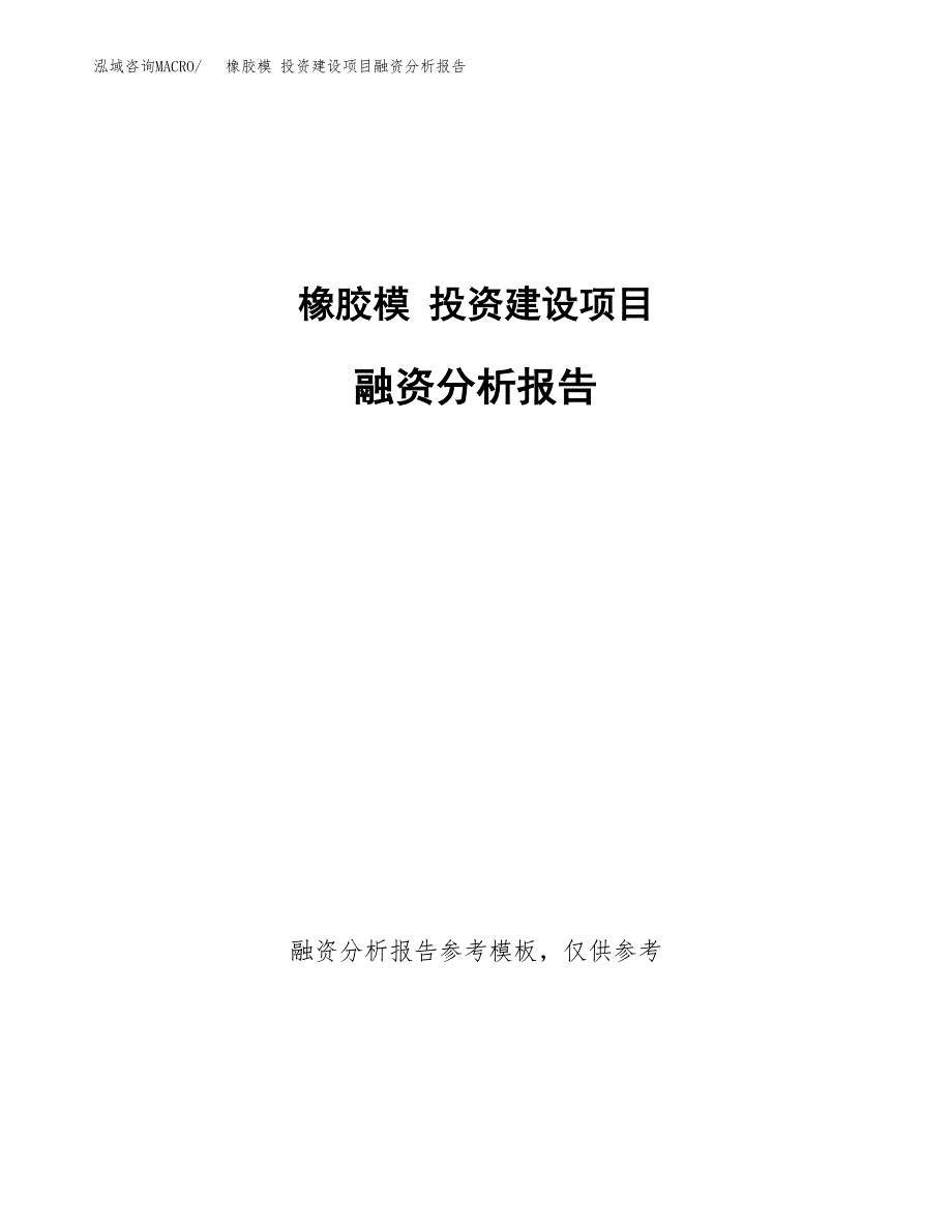 橡胶模 投资建设项目融资分析报告.docx_第1页