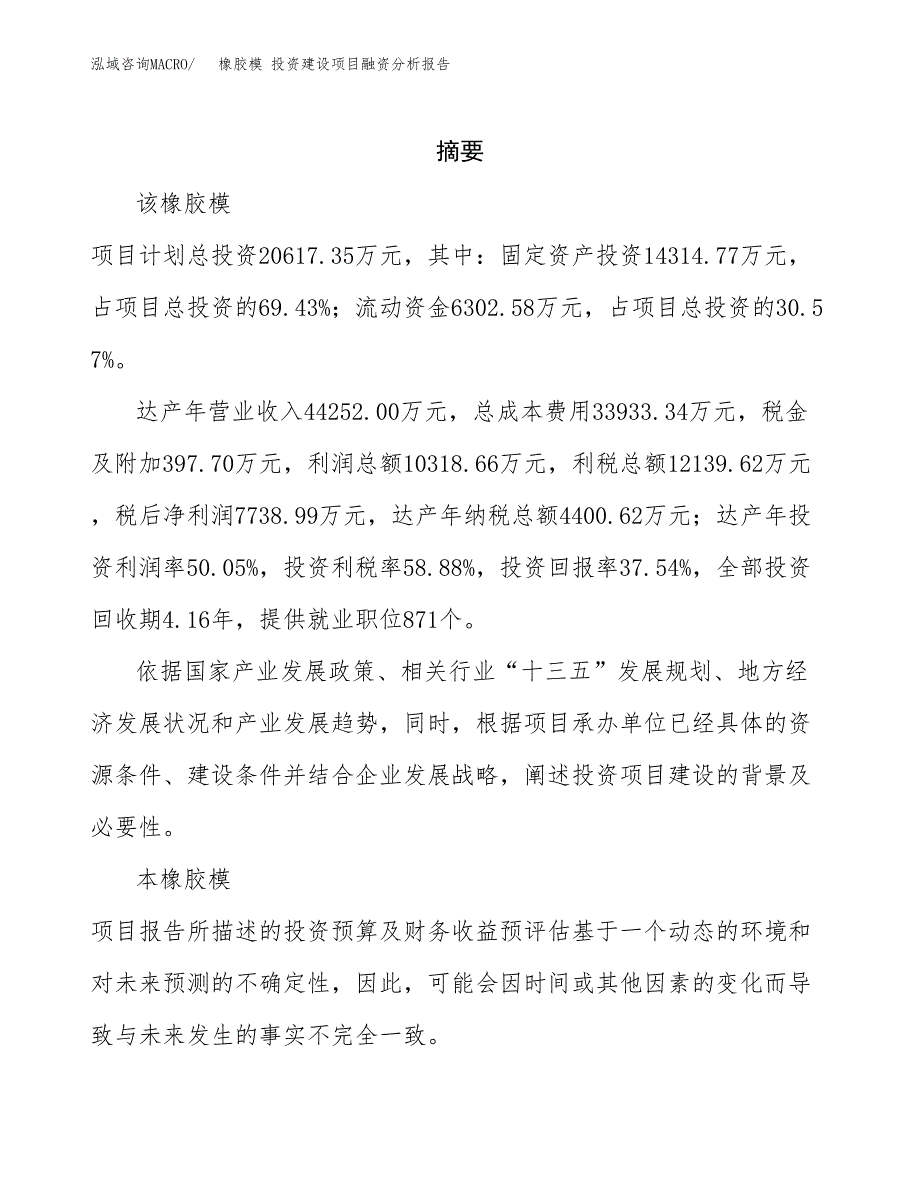 橡胶模 投资建设项目融资分析报告.docx_第2页